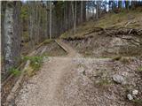 Mače  - Planina Kališče